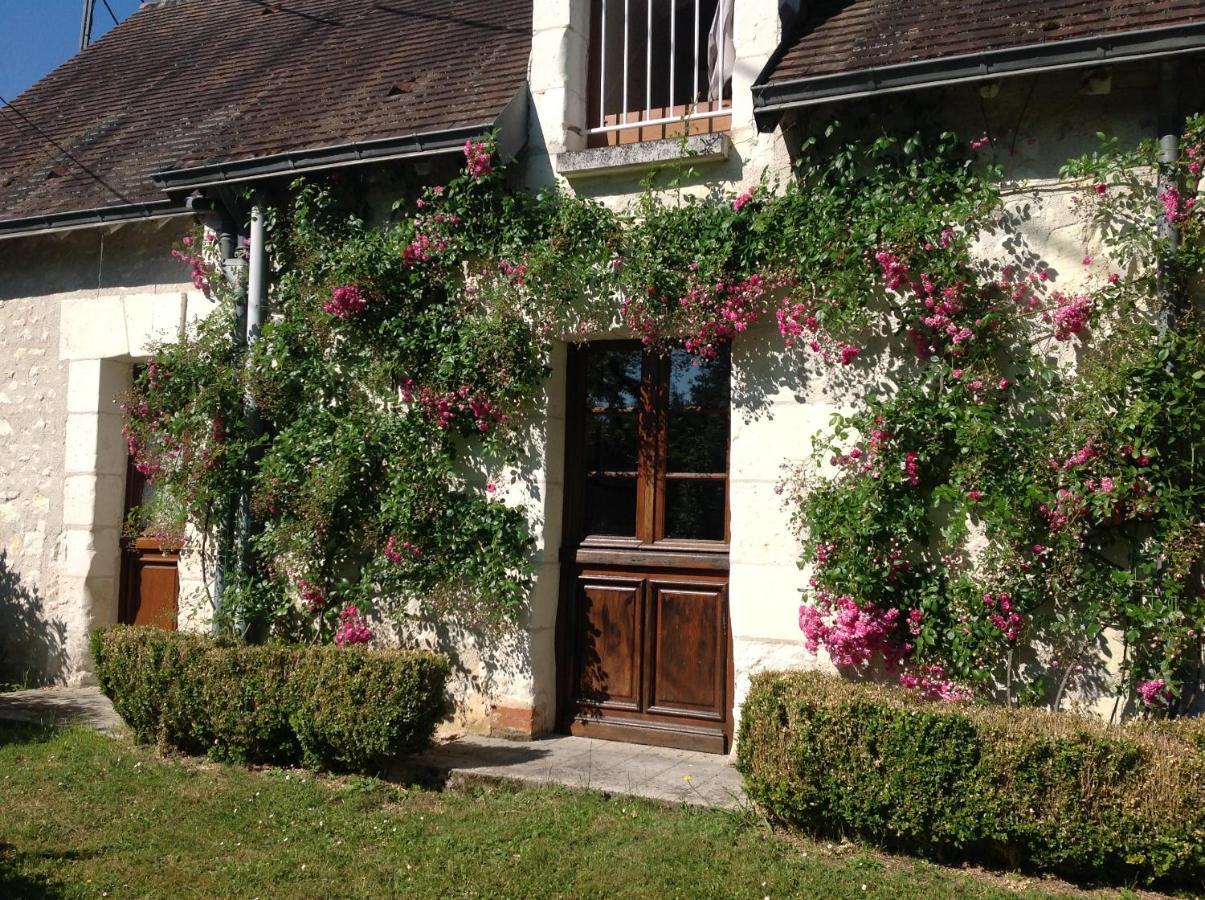 Gite O Beauval Saint-Aignan  Exterior photo