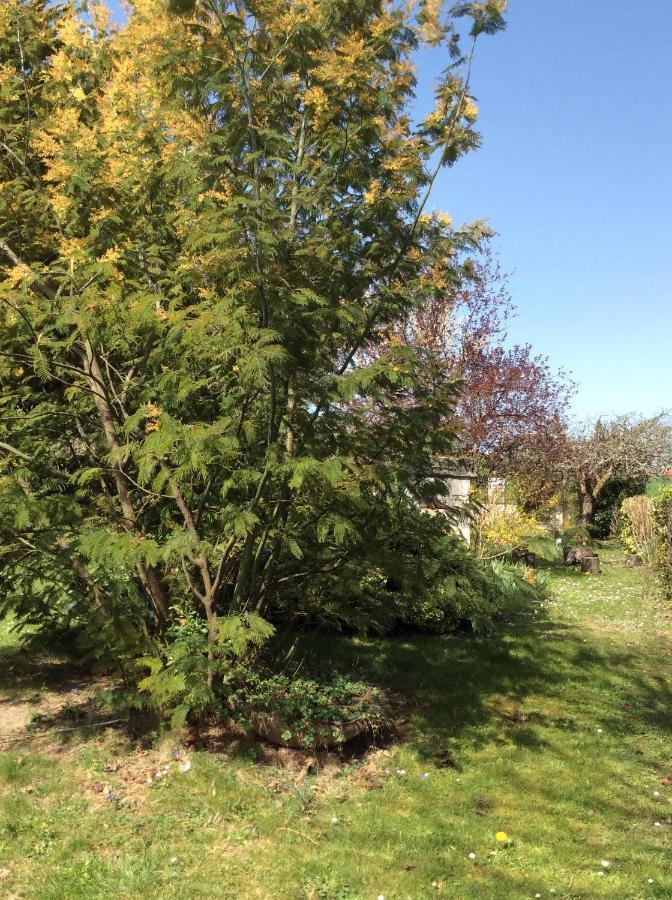 Gite O Beauval Saint-Aignan  Exterior photo