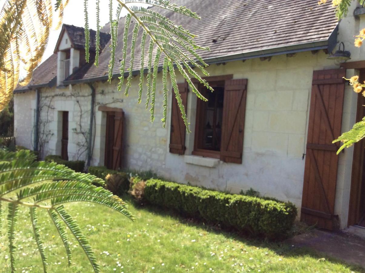Gite O Beauval Saint-Aignan  Exterior photo